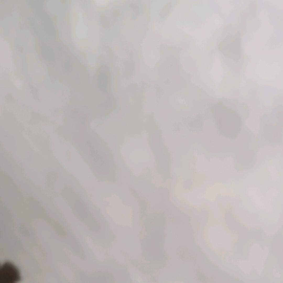 静  心