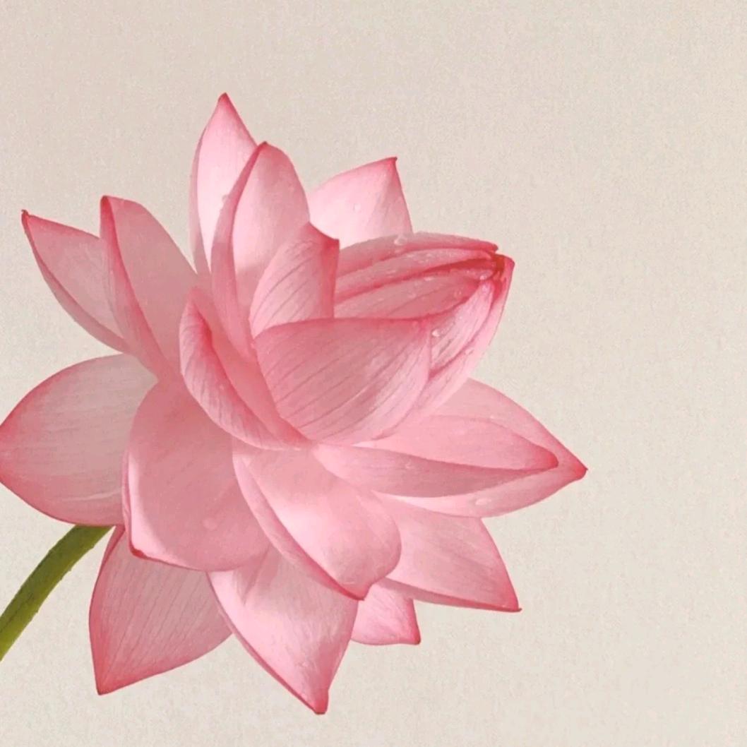 好运来来来来来来来来🥳