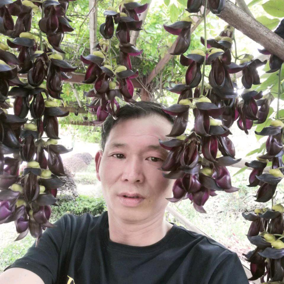 伤了心的我