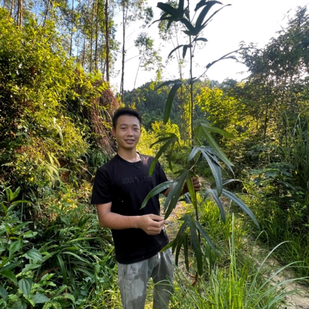 创意陶瓷厂家直销瓷砖小小直播号