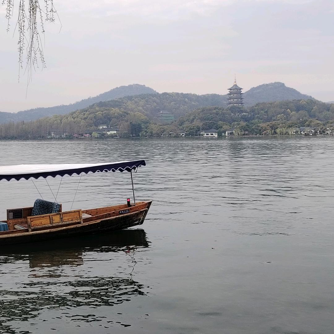 ☯️人间惊鸿客☯️