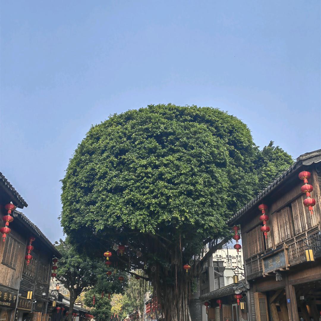 双福油脂