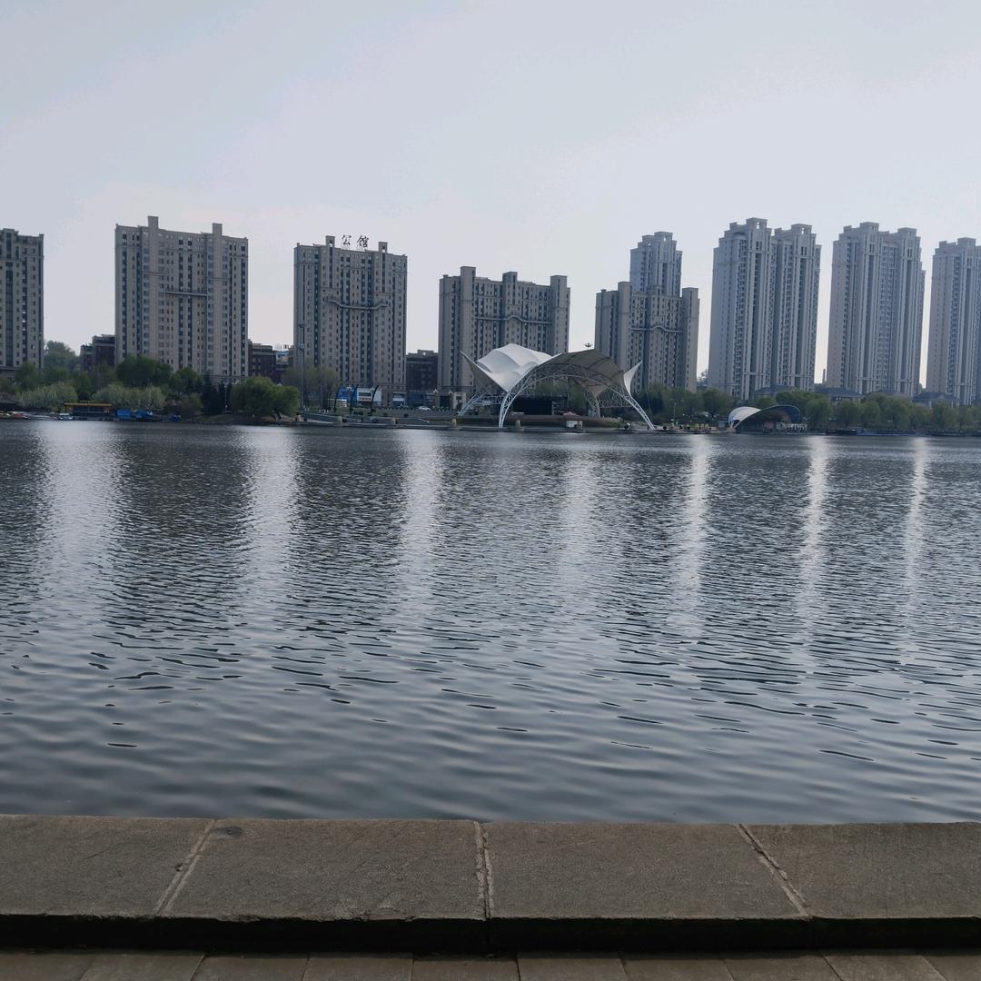 清风徐来水波不兴