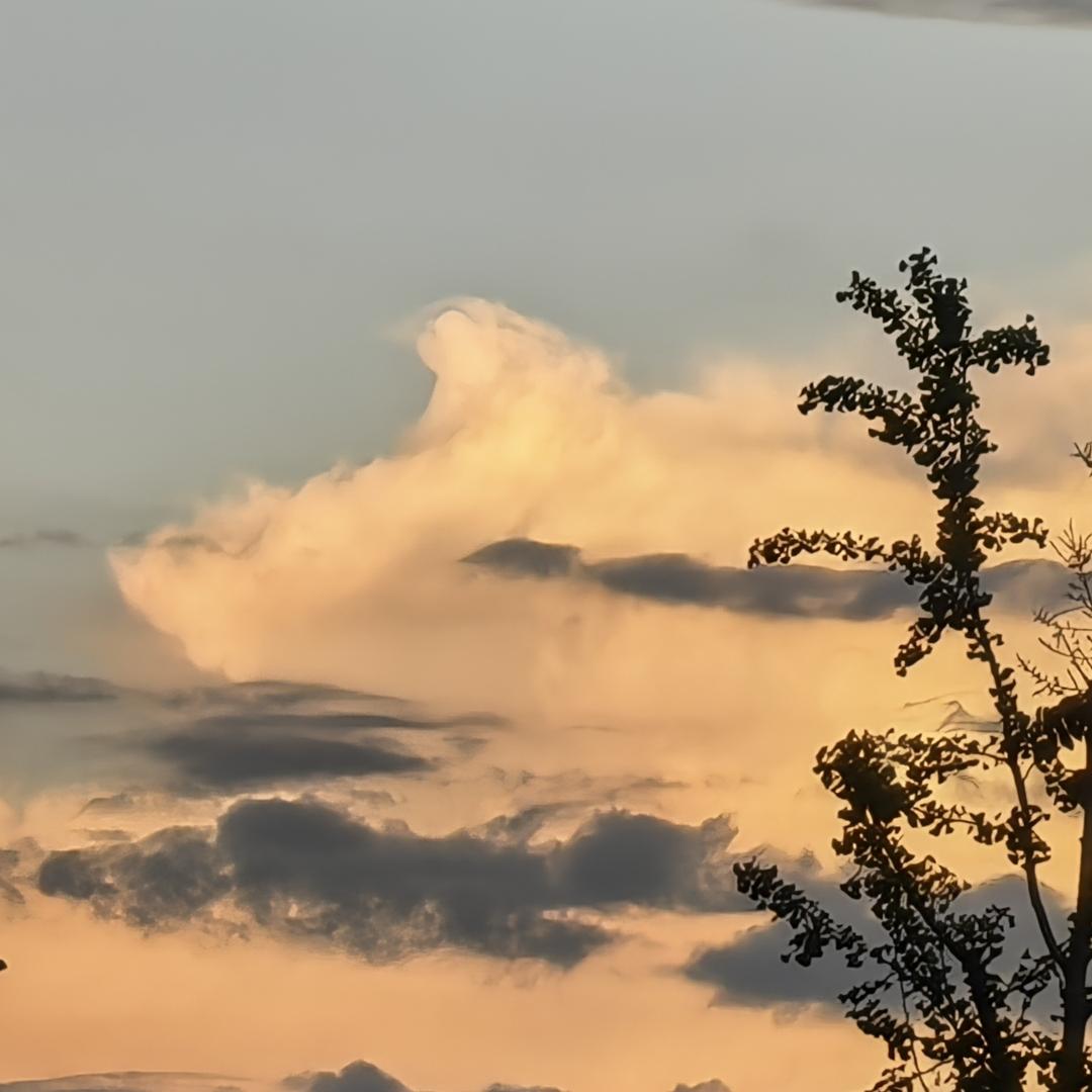 月光落在左手上