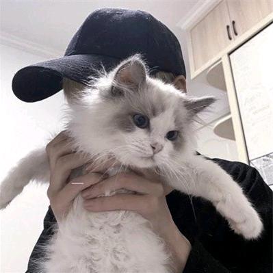 @龙