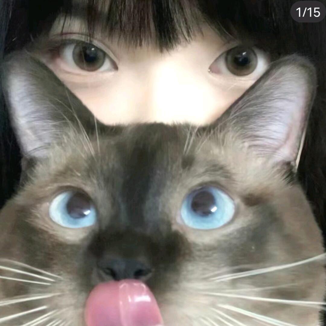 今天没睡觉
