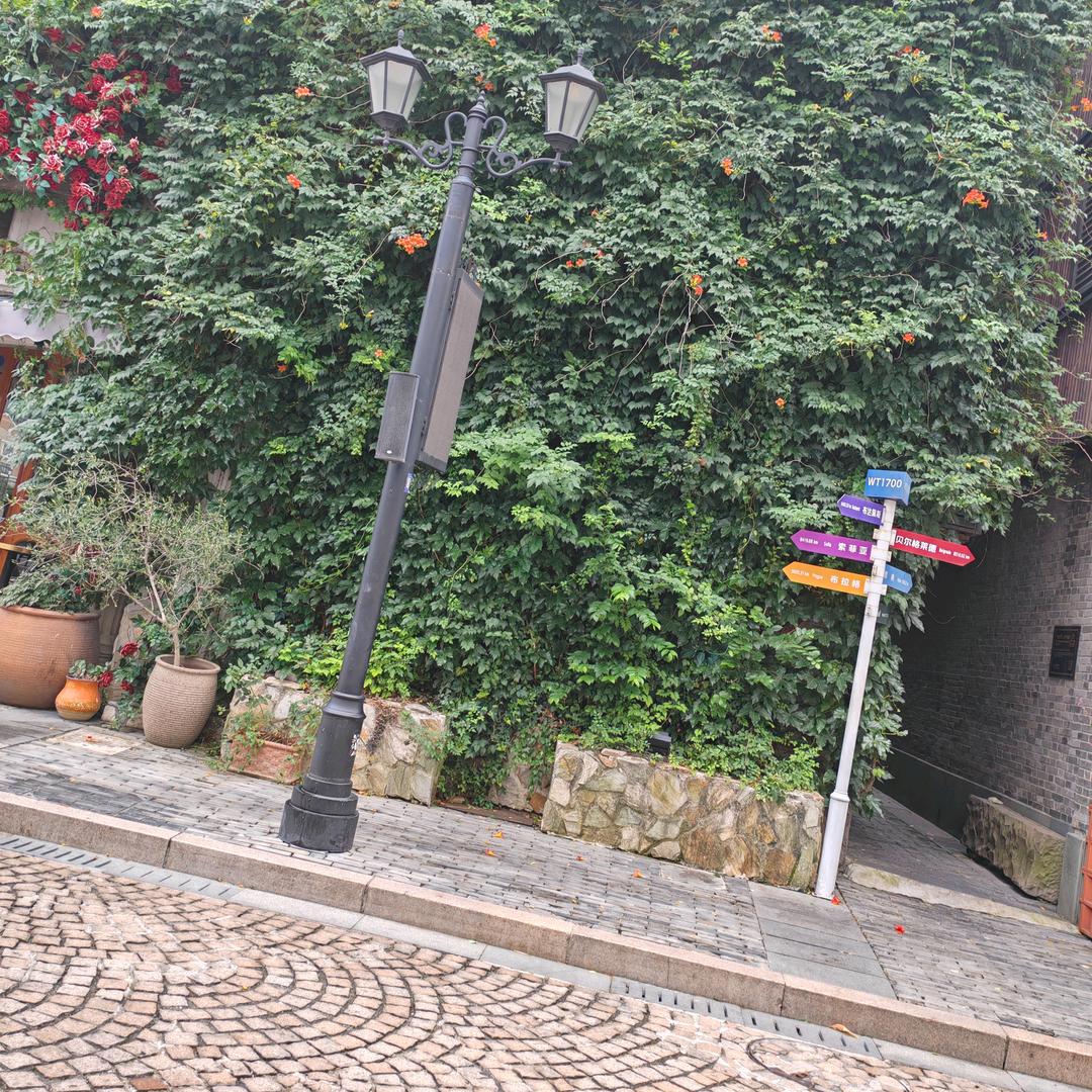 🦹¹ᶟ₁₄🚀🤼‍♂️🚥岔路口