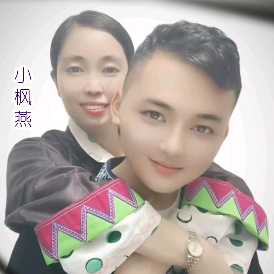 小枫燕