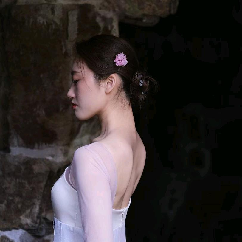 柴小鹿