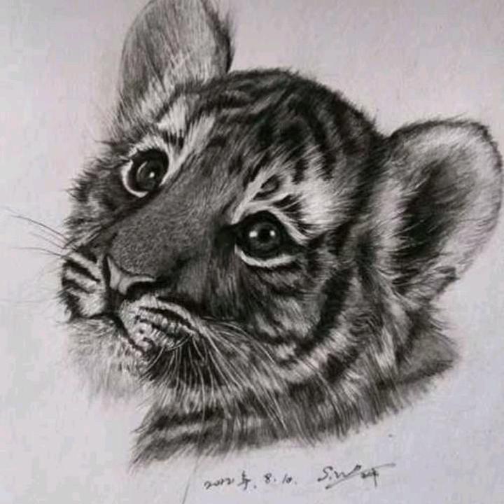 想要成为一个有实力的素描家