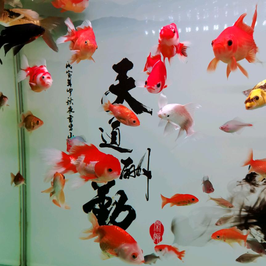 手机用户92102636450