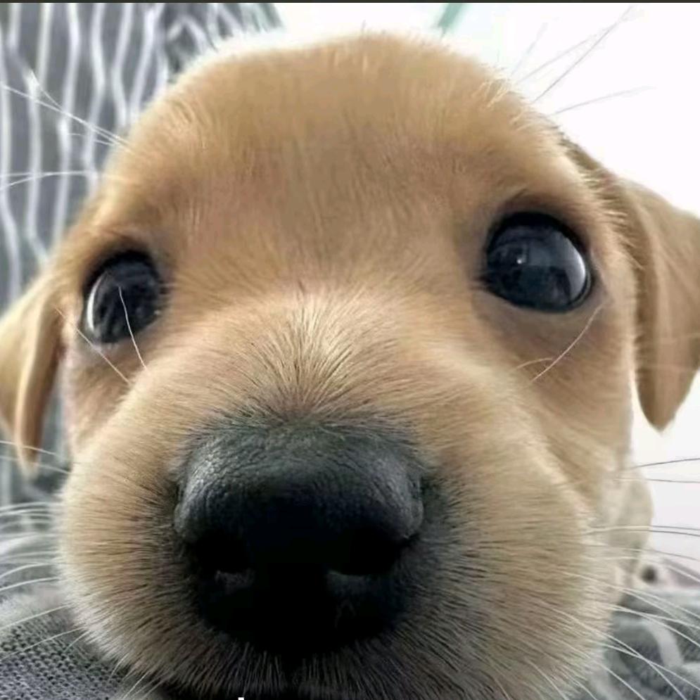 Aaa鹏辉澄海库存玩具批发