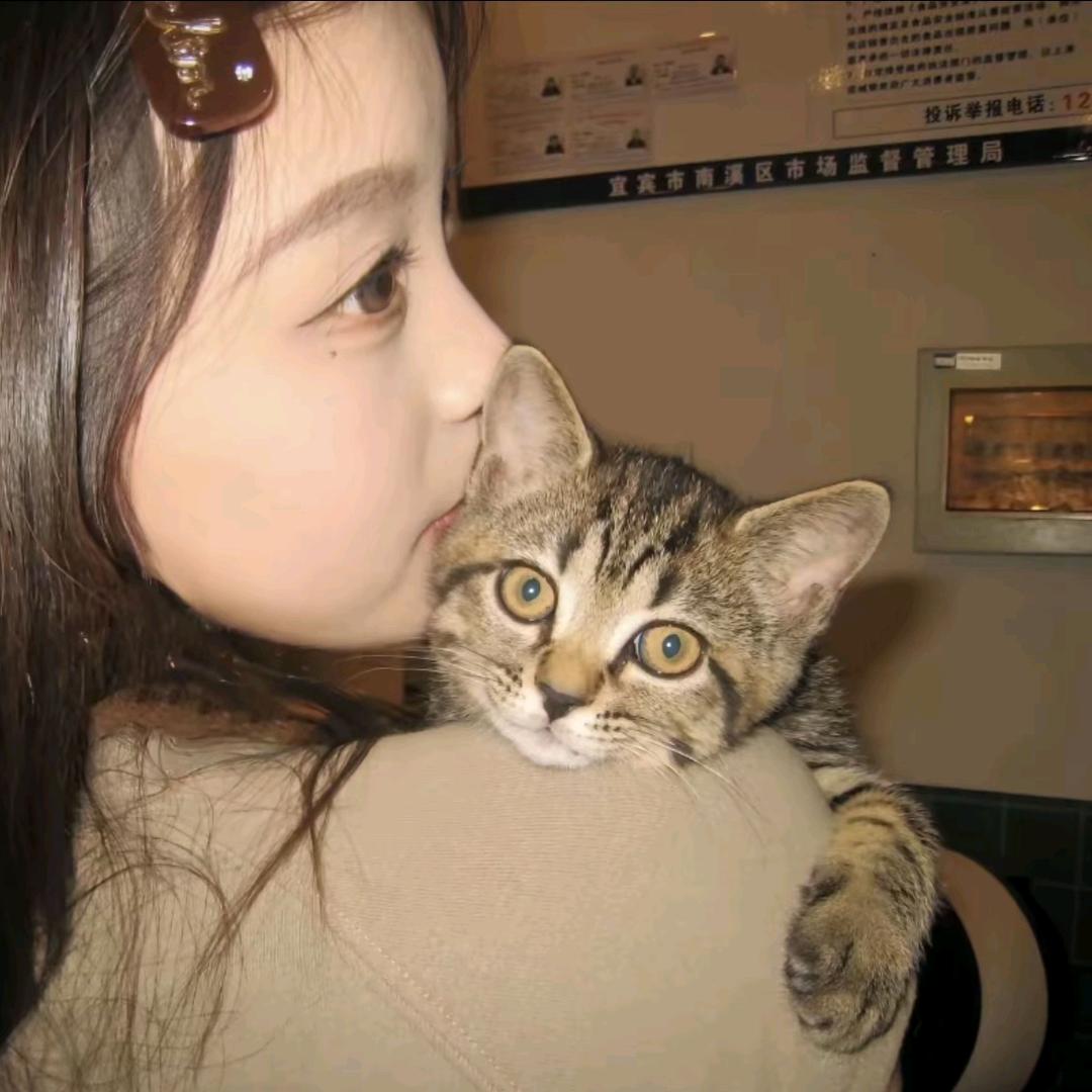 男中难