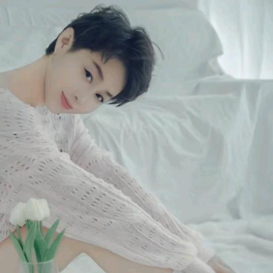 侽仕功能 ti 升🐏护