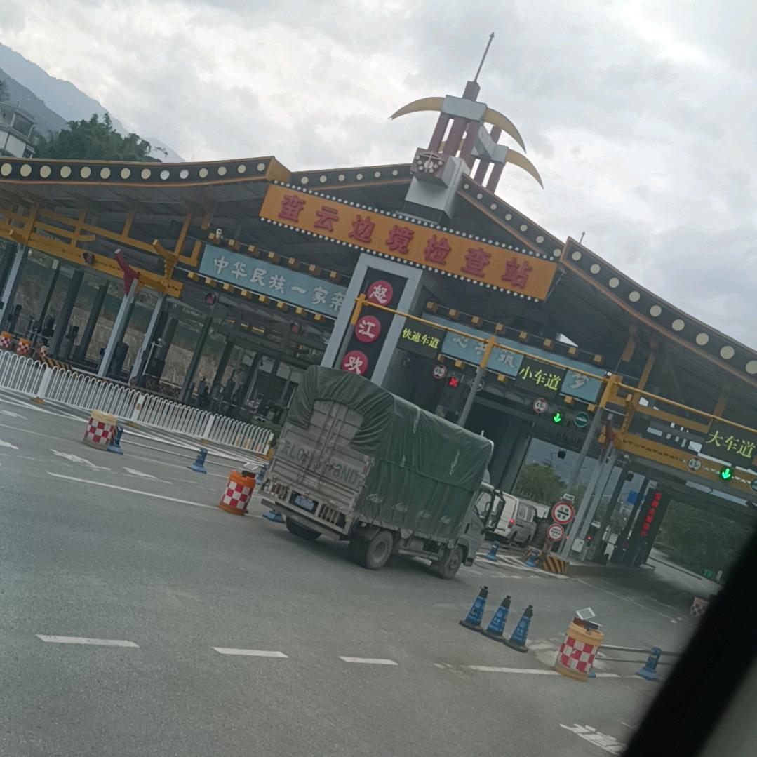高档的刺猬🙋🙋