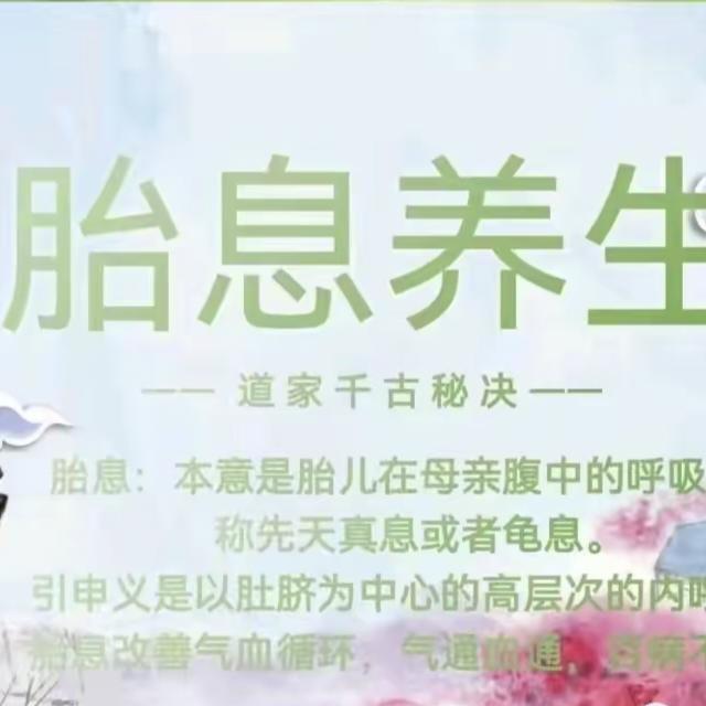鼎莲自愈~真胎息