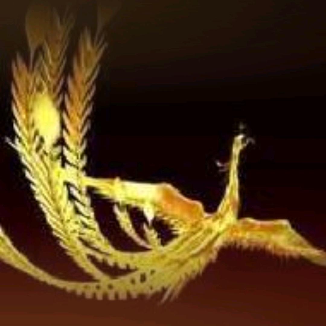 卢小姐-平和～阳明宝善公园宠物套圈石膏画