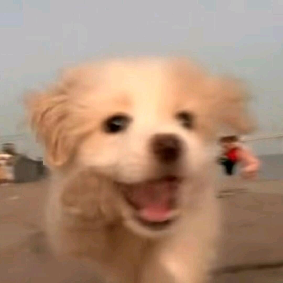 木子栖