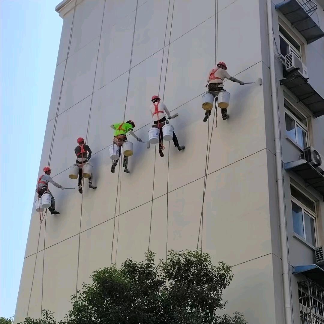 欣悦