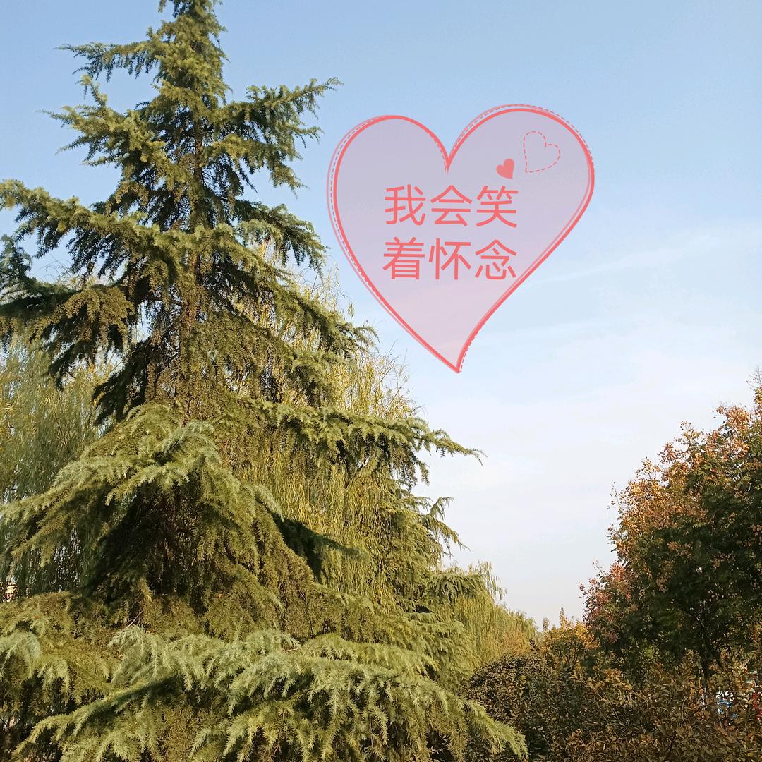 通信录里朋友