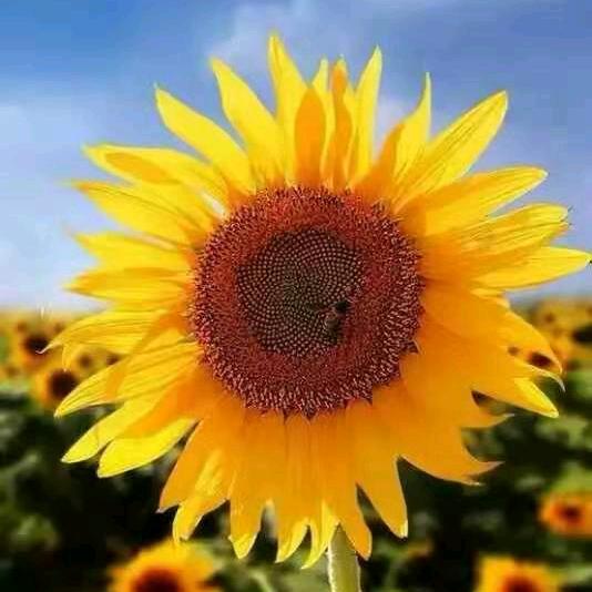 开心快乐向未来