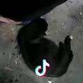 溜号