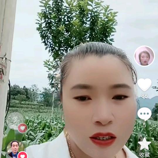 樊奎敏