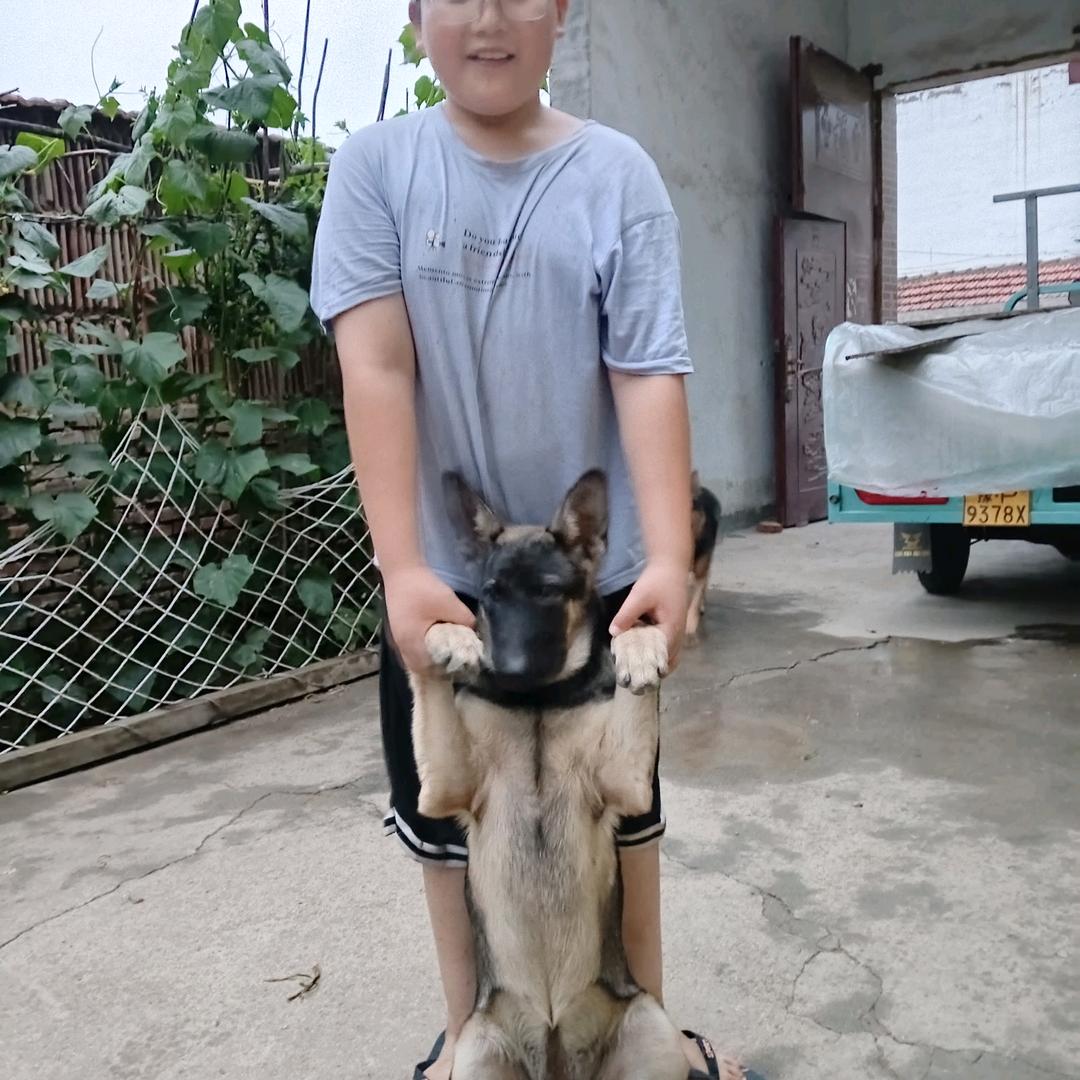 刘金亮新旧二手物品百货