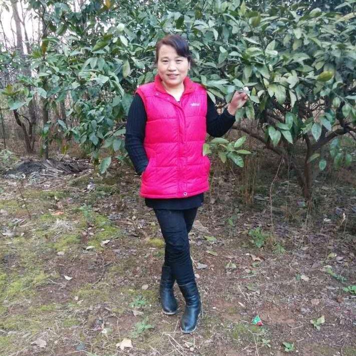 刘伍妹