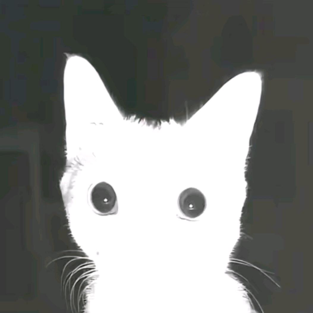 小小韦世豪