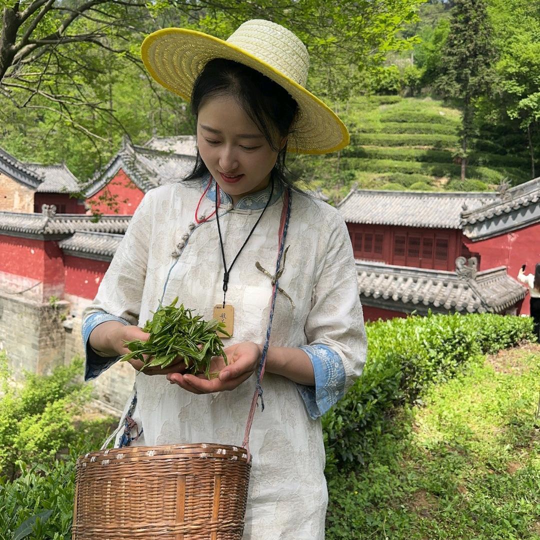 武当茶小真