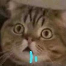 优优好物分享❤️