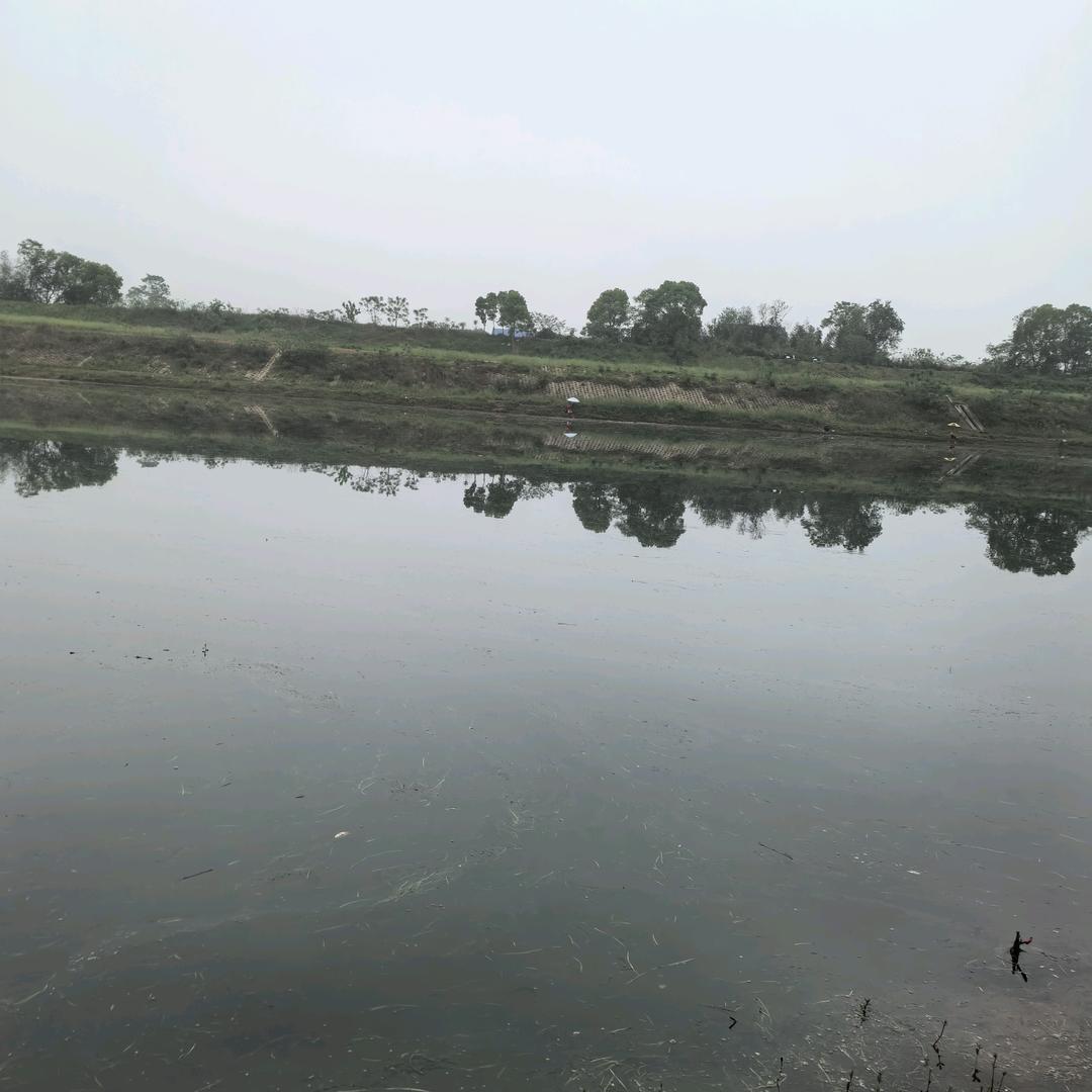 成亚农业孔树农场