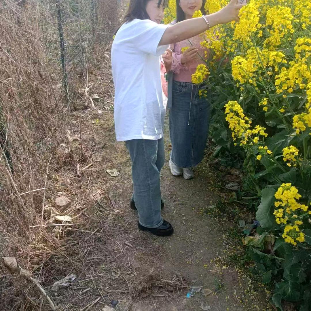 小树林