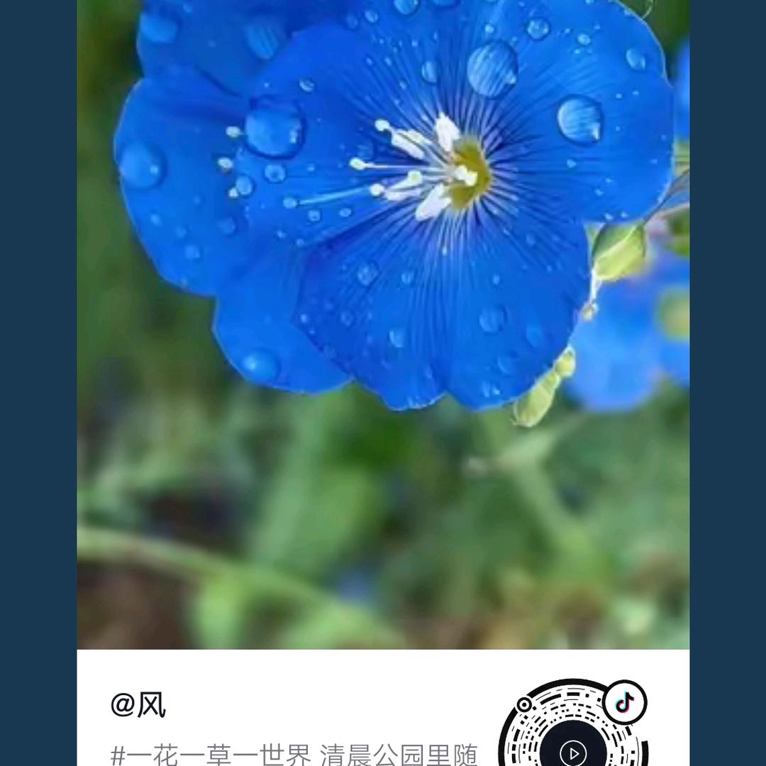 虚拟定位