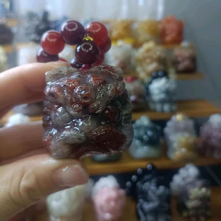 心向星光