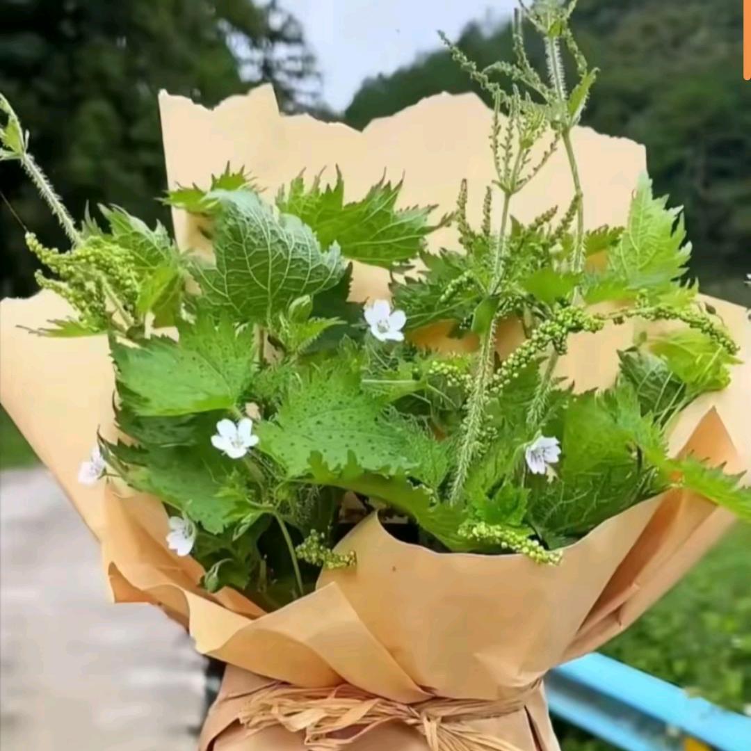 一口一个宋
