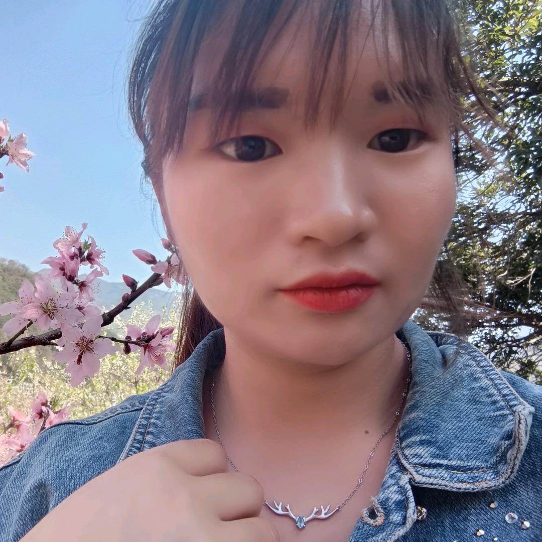 菊花草