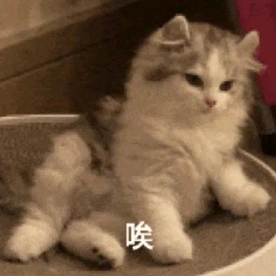 老王沉默了