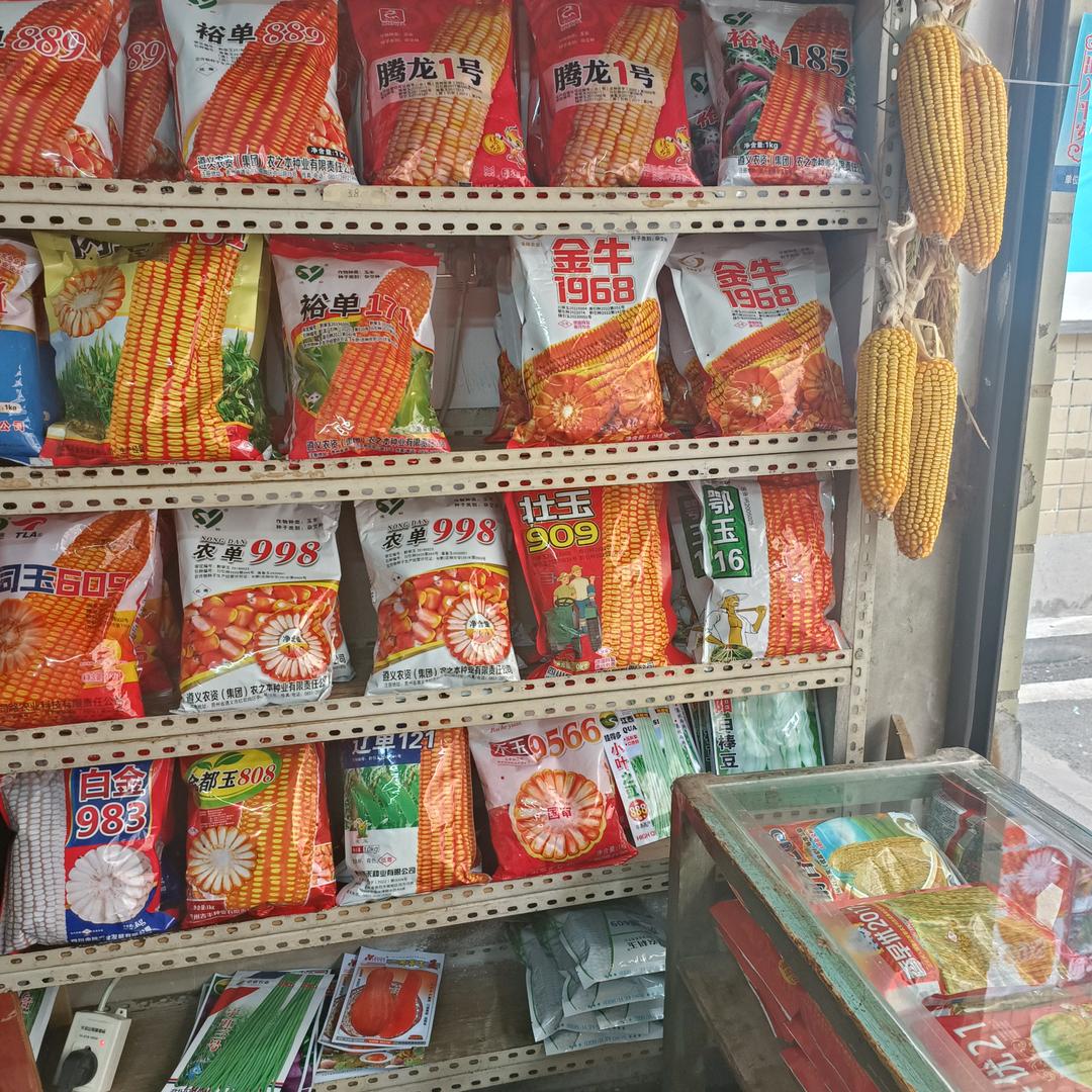 包谷种桐梓买点