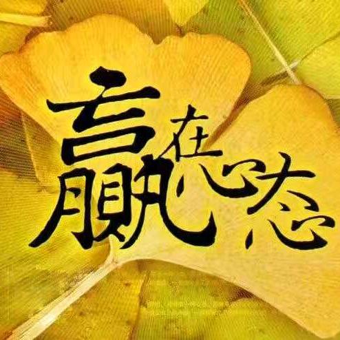 浏个关注