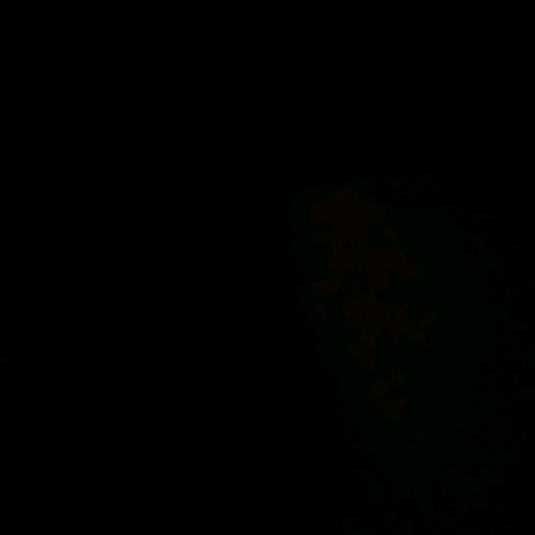 太阳35575841