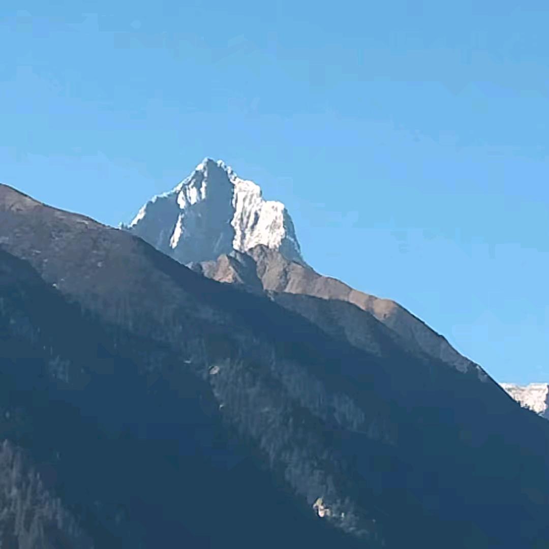 羌塘男孩
