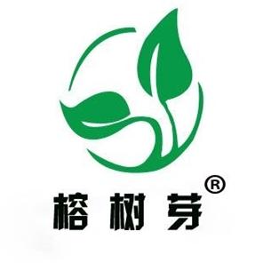 榕树芽净水—李