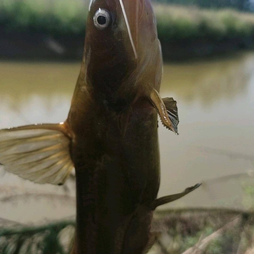 ttttttt