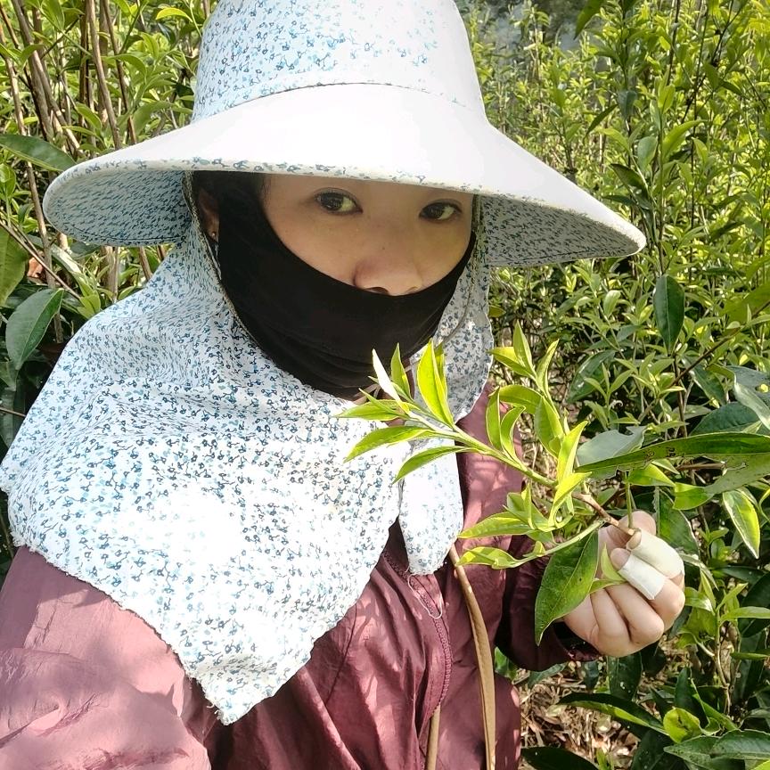萍姑姑