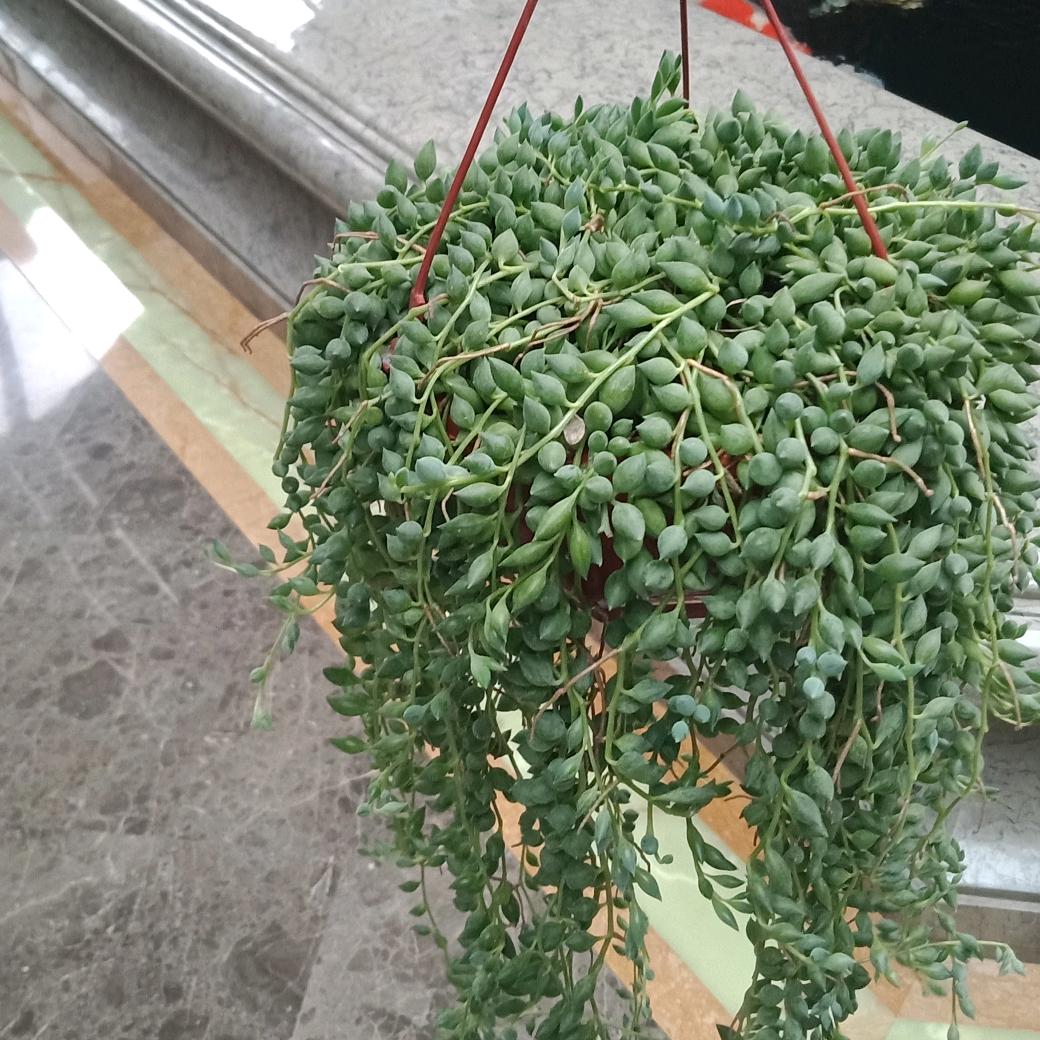 简单快乐