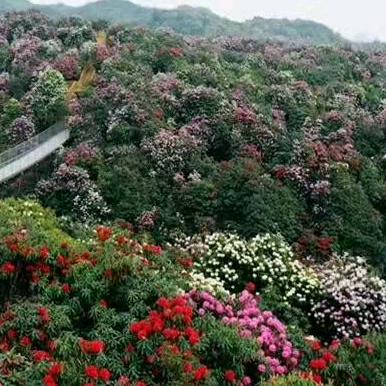 幸褔人生一家人