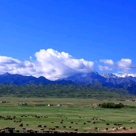 🌻🌾人生如梦🌾🌻
