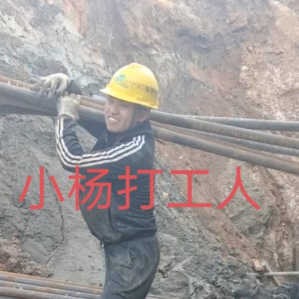 孤儿小杨